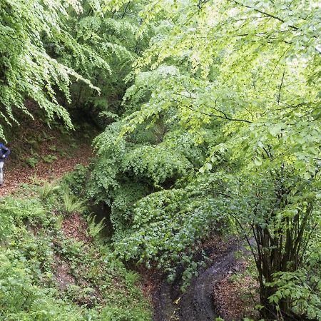 Apto. De Montana La Campa En フェレチョサ エクステリア 写真