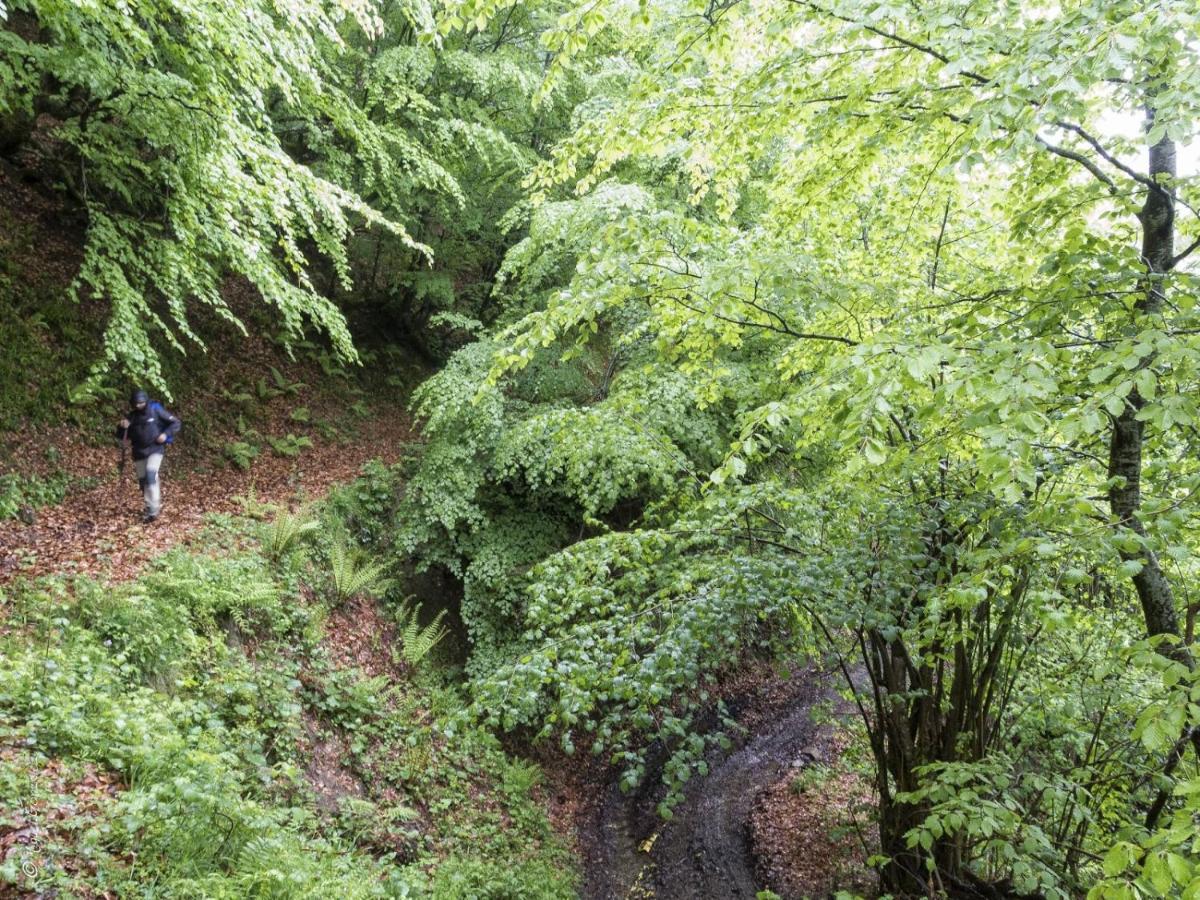 Apto. De Montana La Campa En フェレチョサ エクステリア 写真